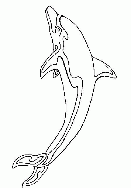 coloriage dauphin hors de l eau